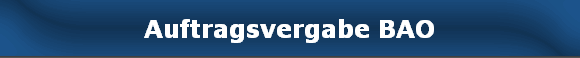 Auftragsvergabe BAO