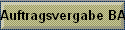 Auftragsvergabe BAO