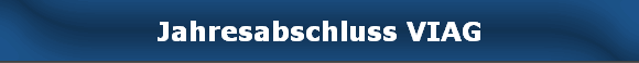 Jahresabschluss VIAG